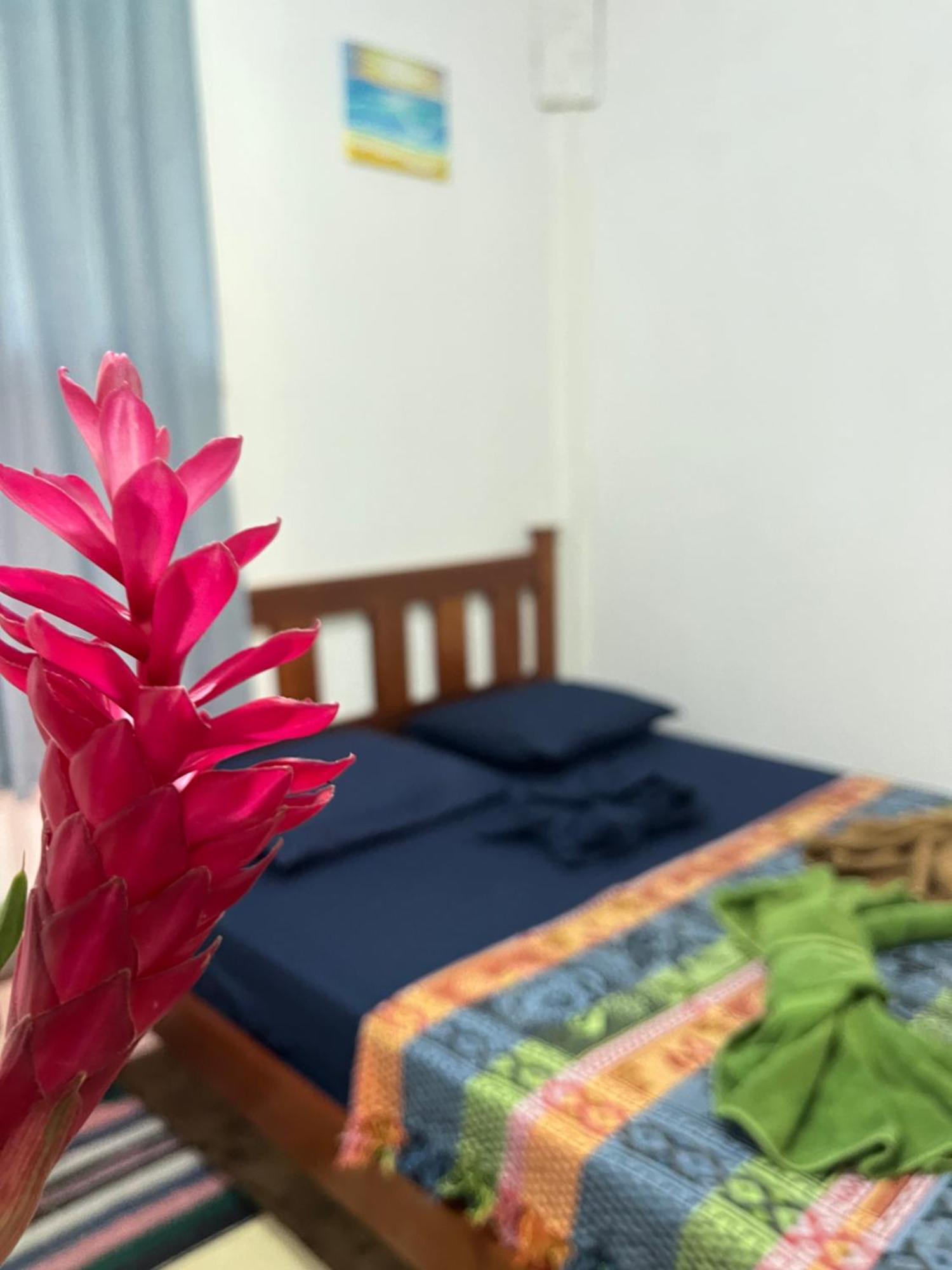 博卡斯德尔托罗 Surf Camp酒店 外观 照片